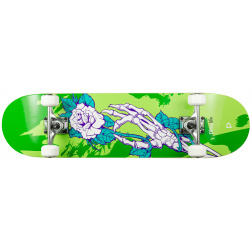 Skateboard Playlife Skull Homegrown 31x8"